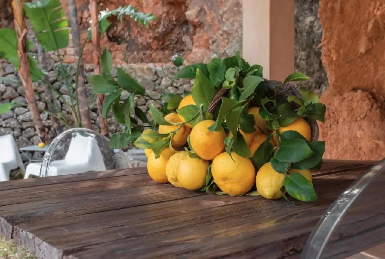 Holiday home Can Gari Soller Spain